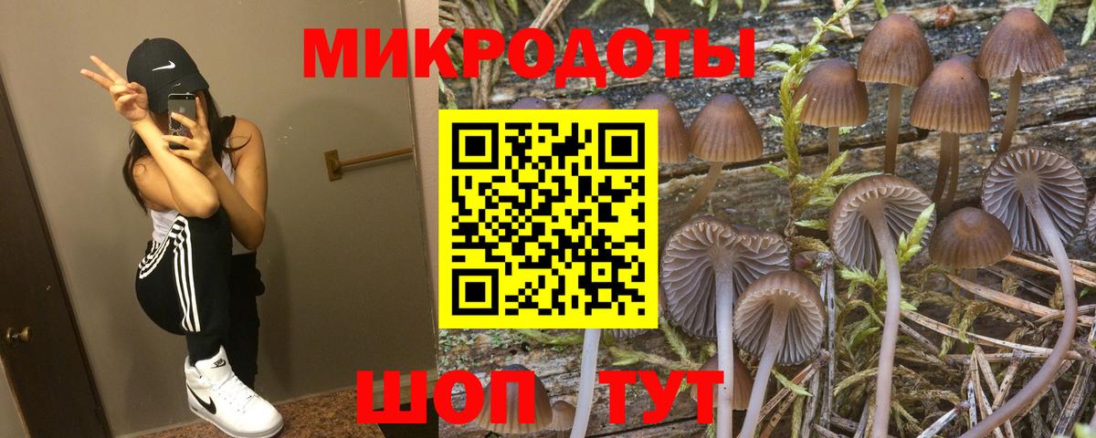 Псилоцибиновые грибы Psilocybine cubensis  Вход с VPN  Энгельс 